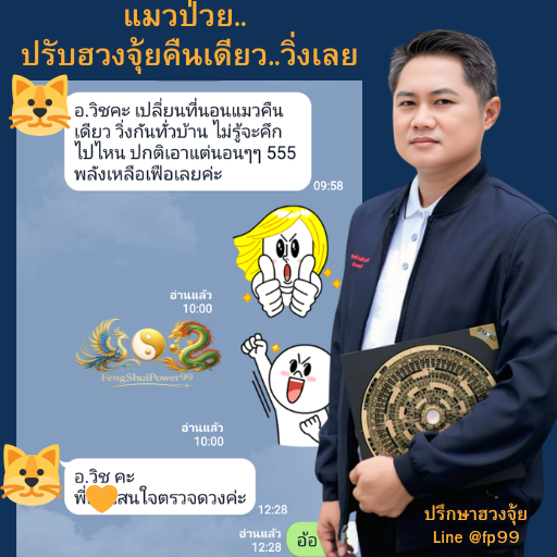 จัดฮวงจุ้ยวันเดียว แมวกลับมาวิ่งเลย